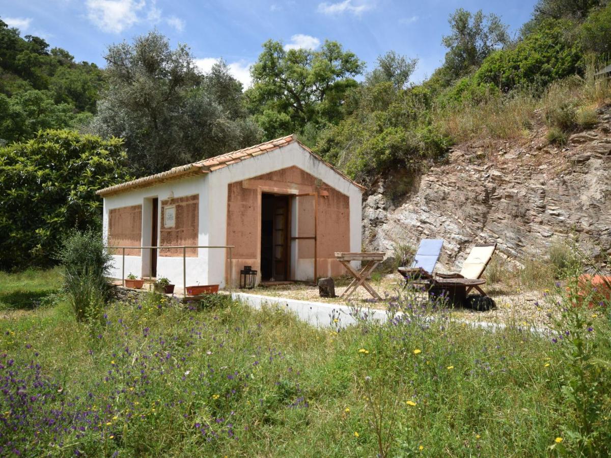 Troviscais Quiet And Cottage In The Estate Casas Da Cerca מראה חיצוני תמונה