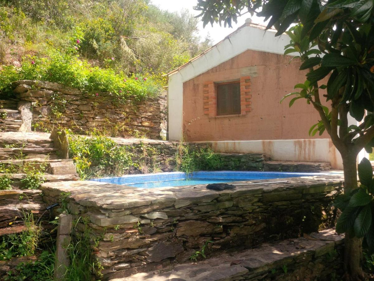Troviscais Quiet And Cottage In The Estate Casas Da Cerca מראה חיצוני תמונה