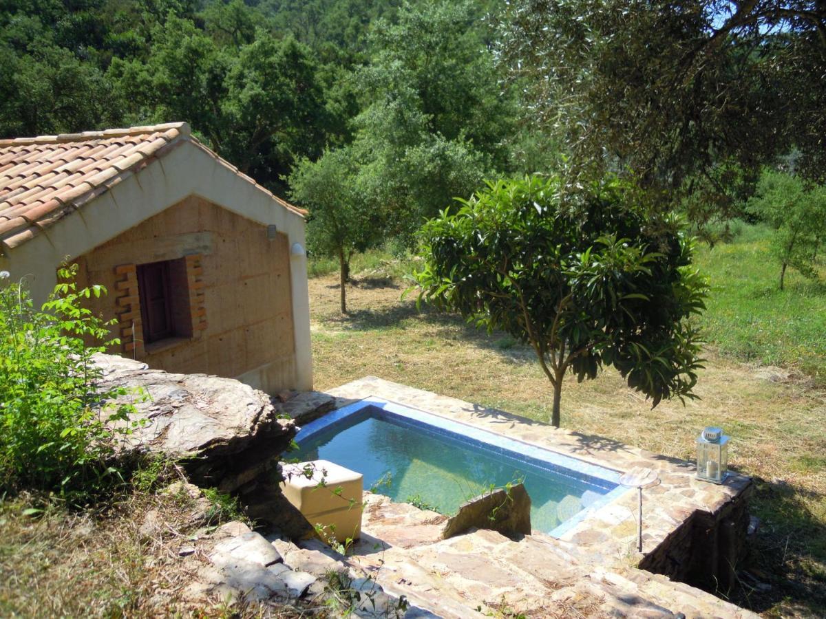 Troviscais Quiet And Cottage In The Estate Casas Da Cerca מראה חיצוני תמונה