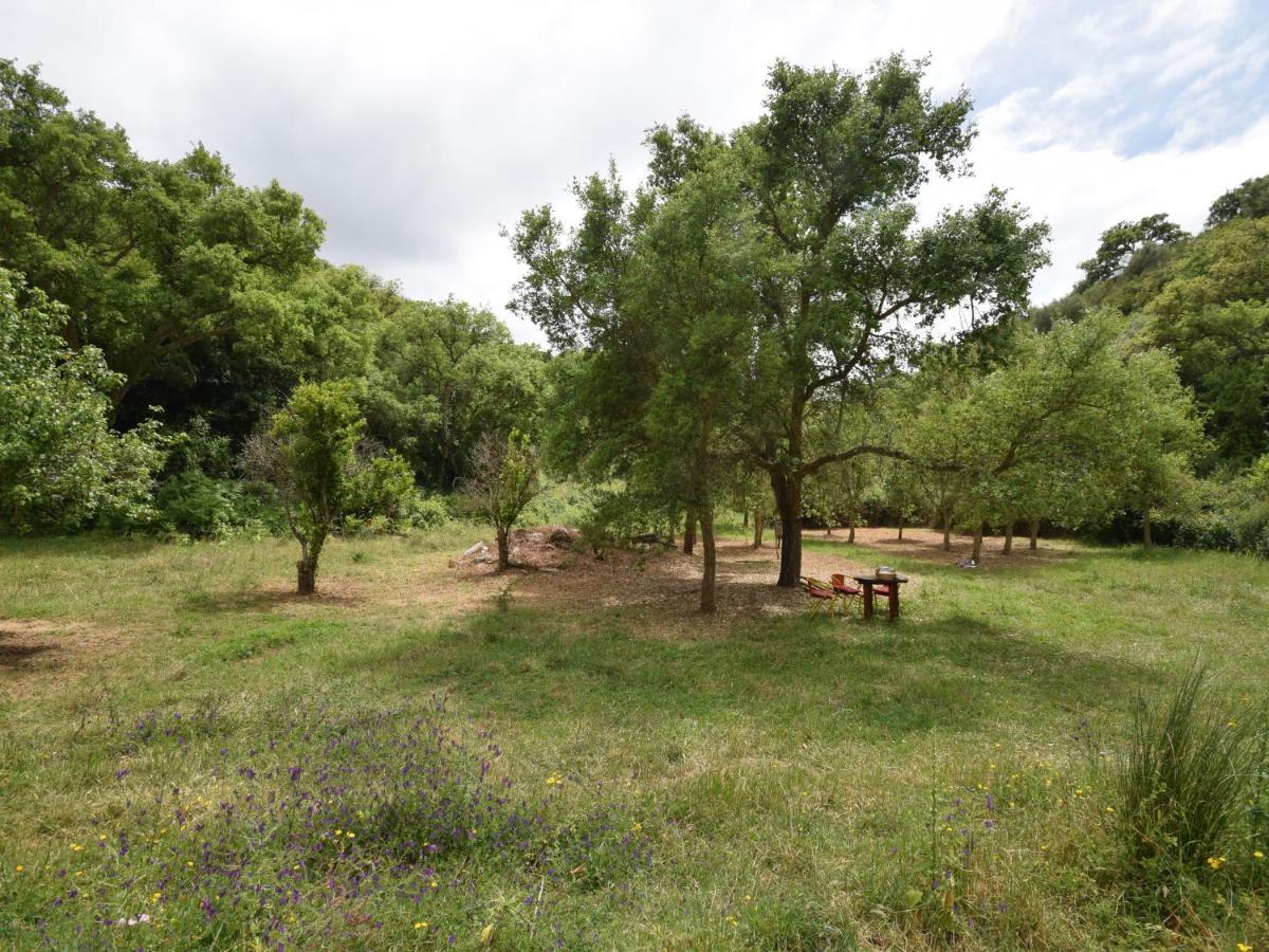 Troviscais Quiet And Cottage In The Estate Casas Da Cerca מראה חיצוני תמונה