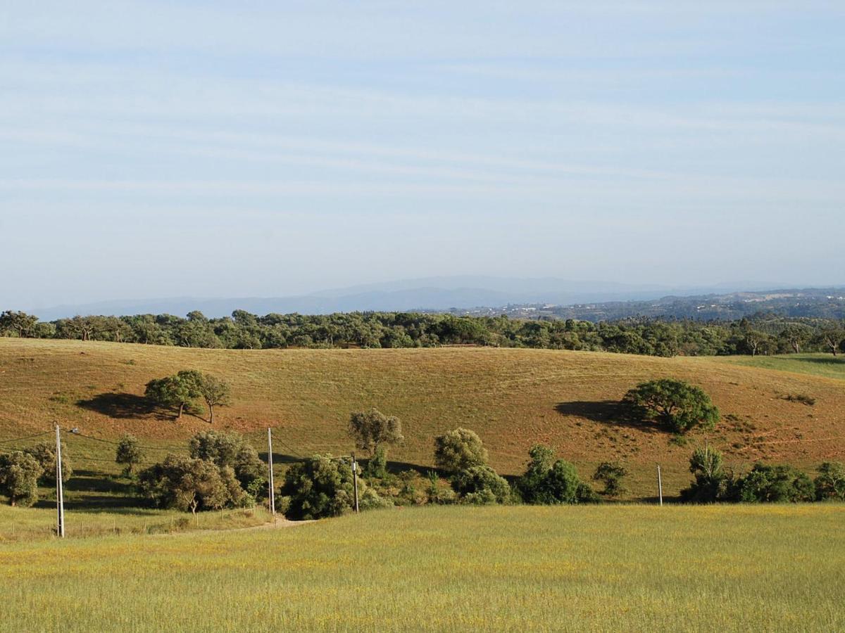 Troviscais Quiet And Cottage In The Estate Casas Da Cerca מראה חיצוני תמונה