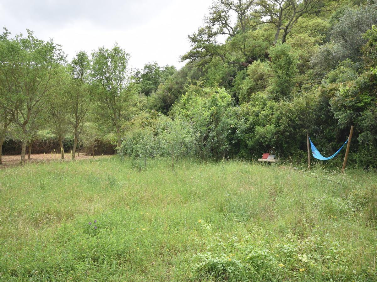 Troviscais Quiet And Cottage In The Estate Casas Da Cerca חדר תמונה