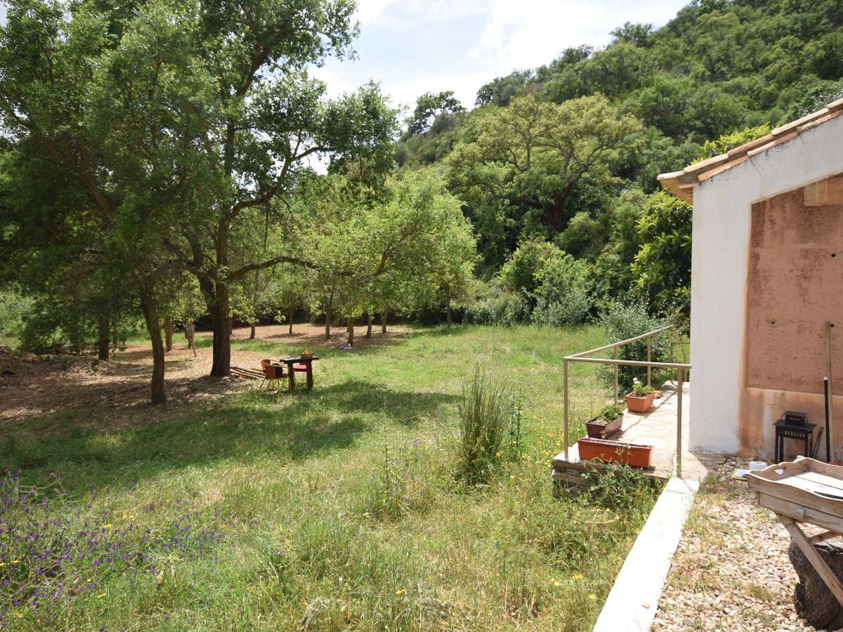 Troviscais Quiet And Cottage In The Estate Casas Da Cerca מראה חיצוני תמונה